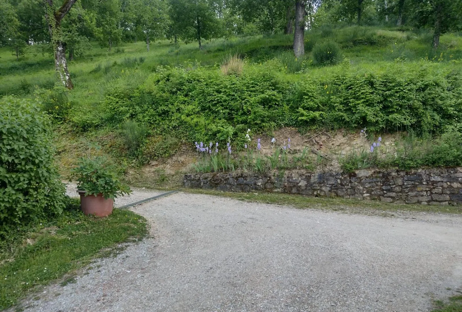Agriturismo Bacio Pelago